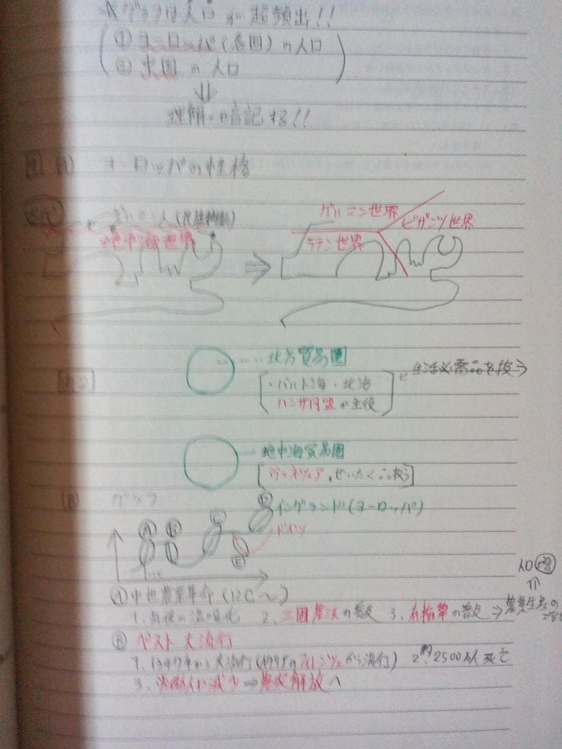 【東進】『ハイレベル世界史問題演習』　　ノートばっちり！　　駿台　河合塾　代ゼミ