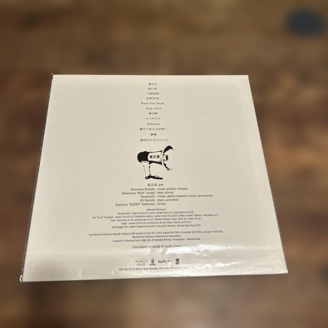 光風 & GREEN MASSIVE 暁より