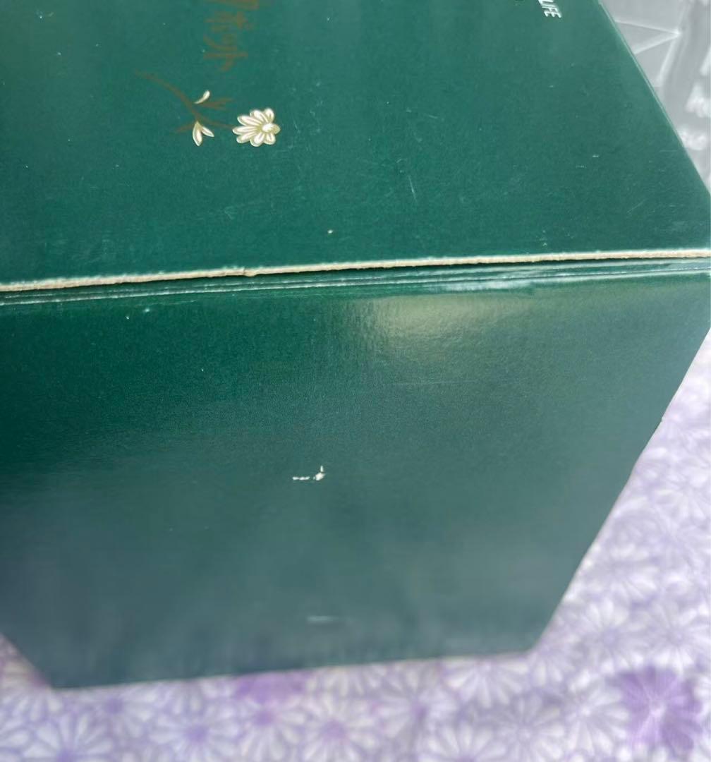 セレック (celec) ティーポット vフィルター付 2セット