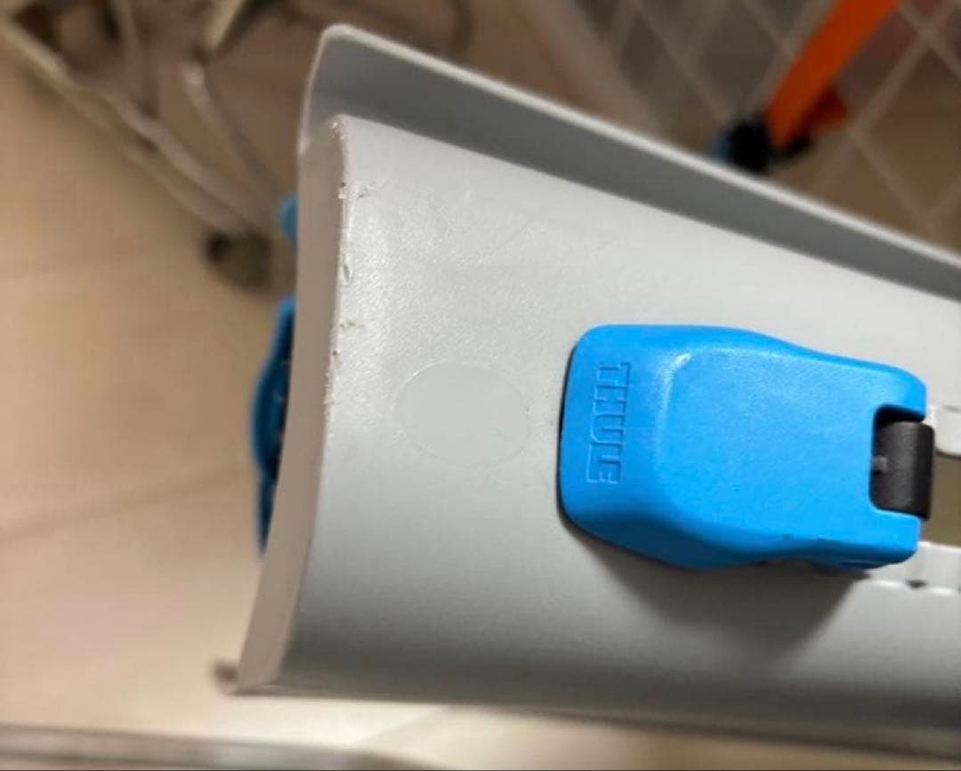 THULE RideAlong 自転車用チャイルドシート