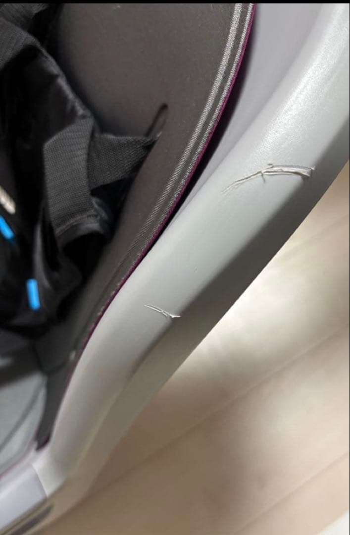 THULE RideAlong 自転車用チャイルドシート