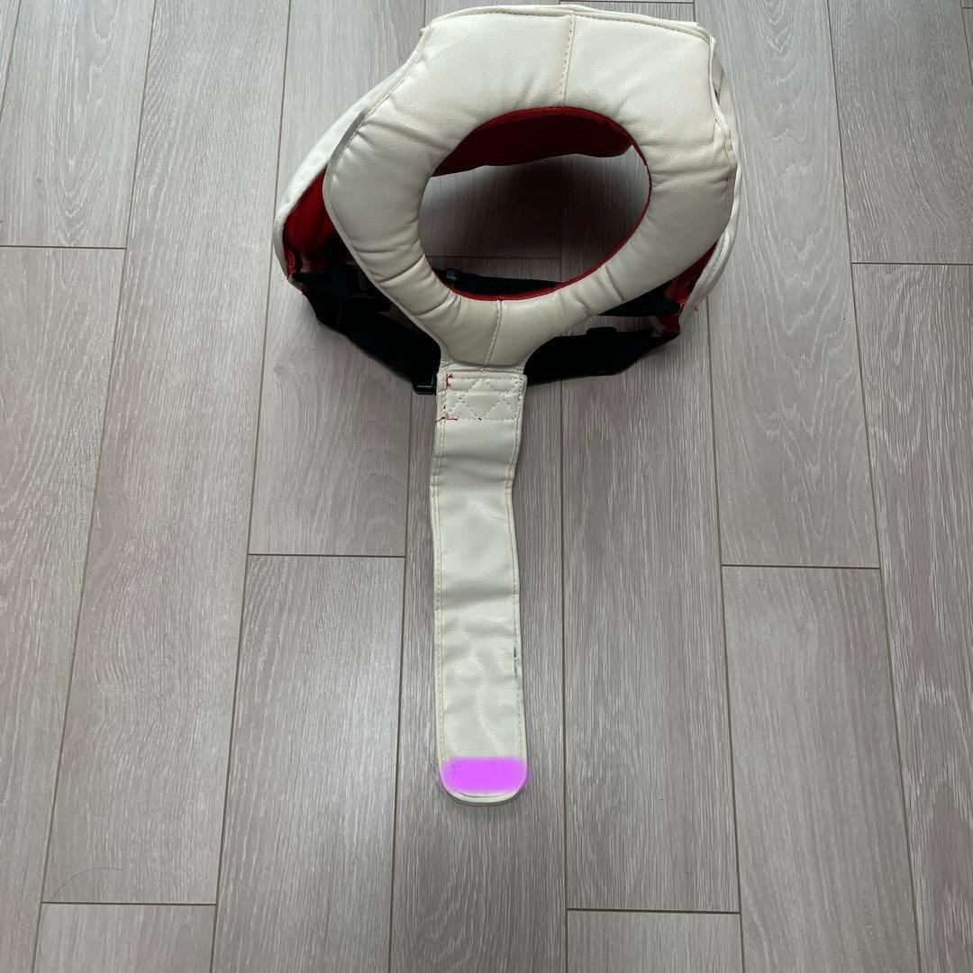 キックボクシング　防具セット　パンチングミット ボディプロテクター　S ミット