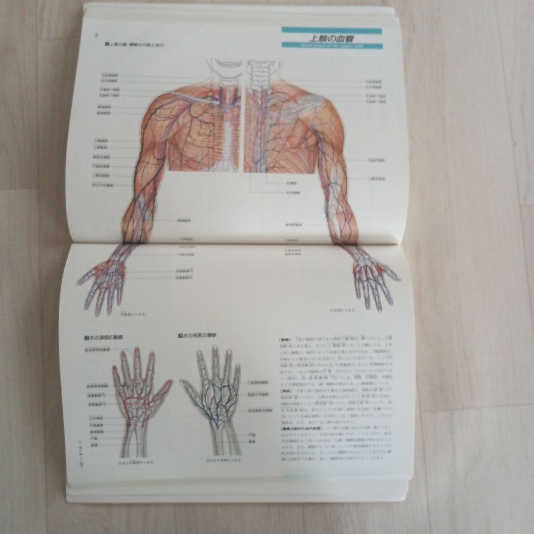 Human Body からだの地図帳