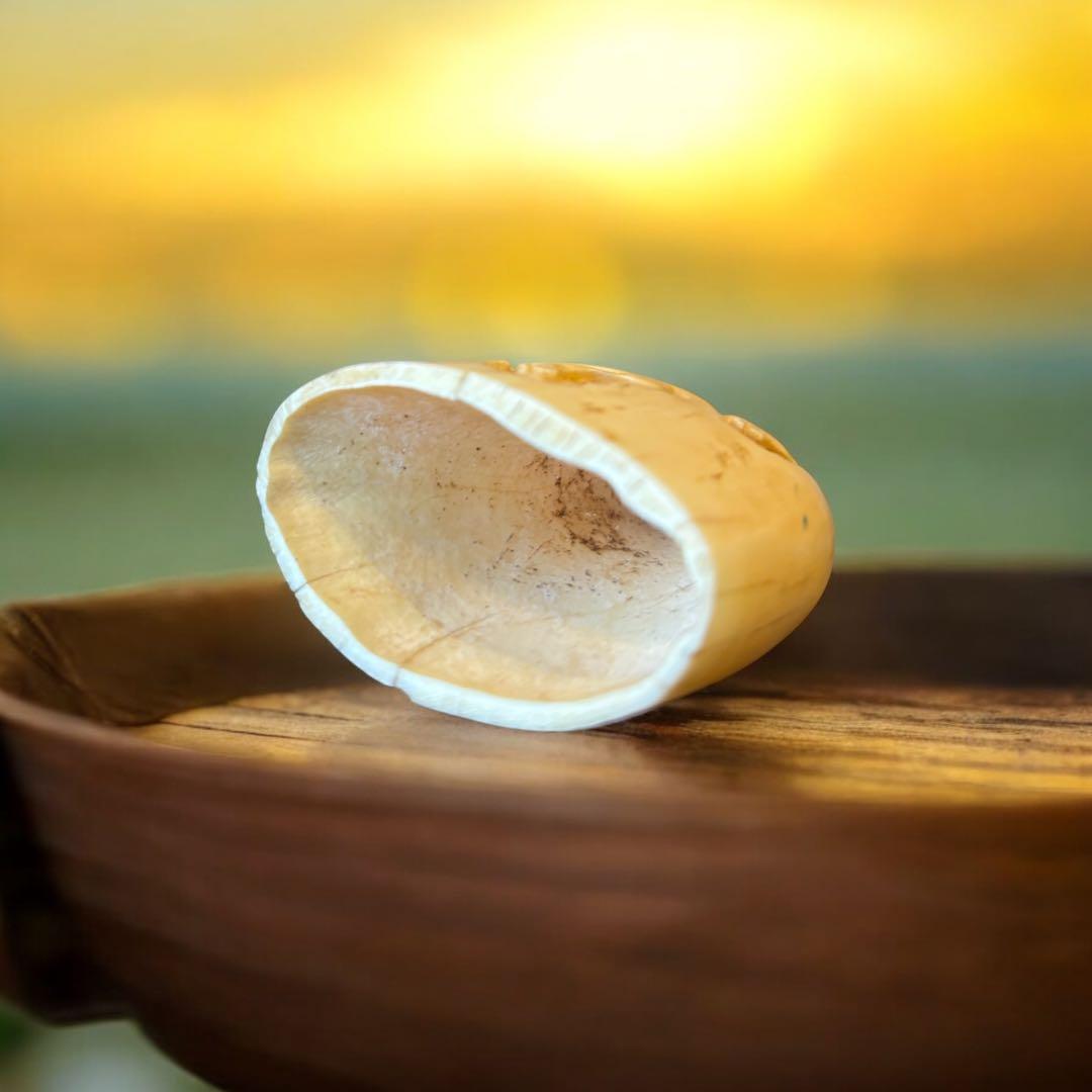 マッコウクジラ 鯨歯工芸品 抹香鯨 歯牙 鯨歯 歯鯨 在銘 牛 彫 169g