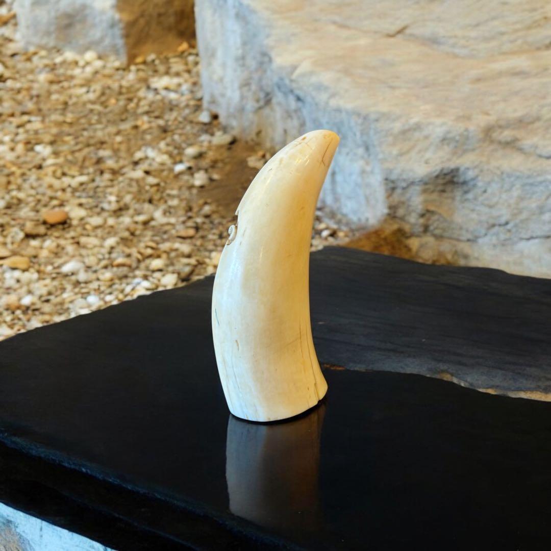マッコウクジラ 鯨歯工芸品 抹香鯨 歯牙 鯨歯 歯鯨 在銘 牛 彫 169g