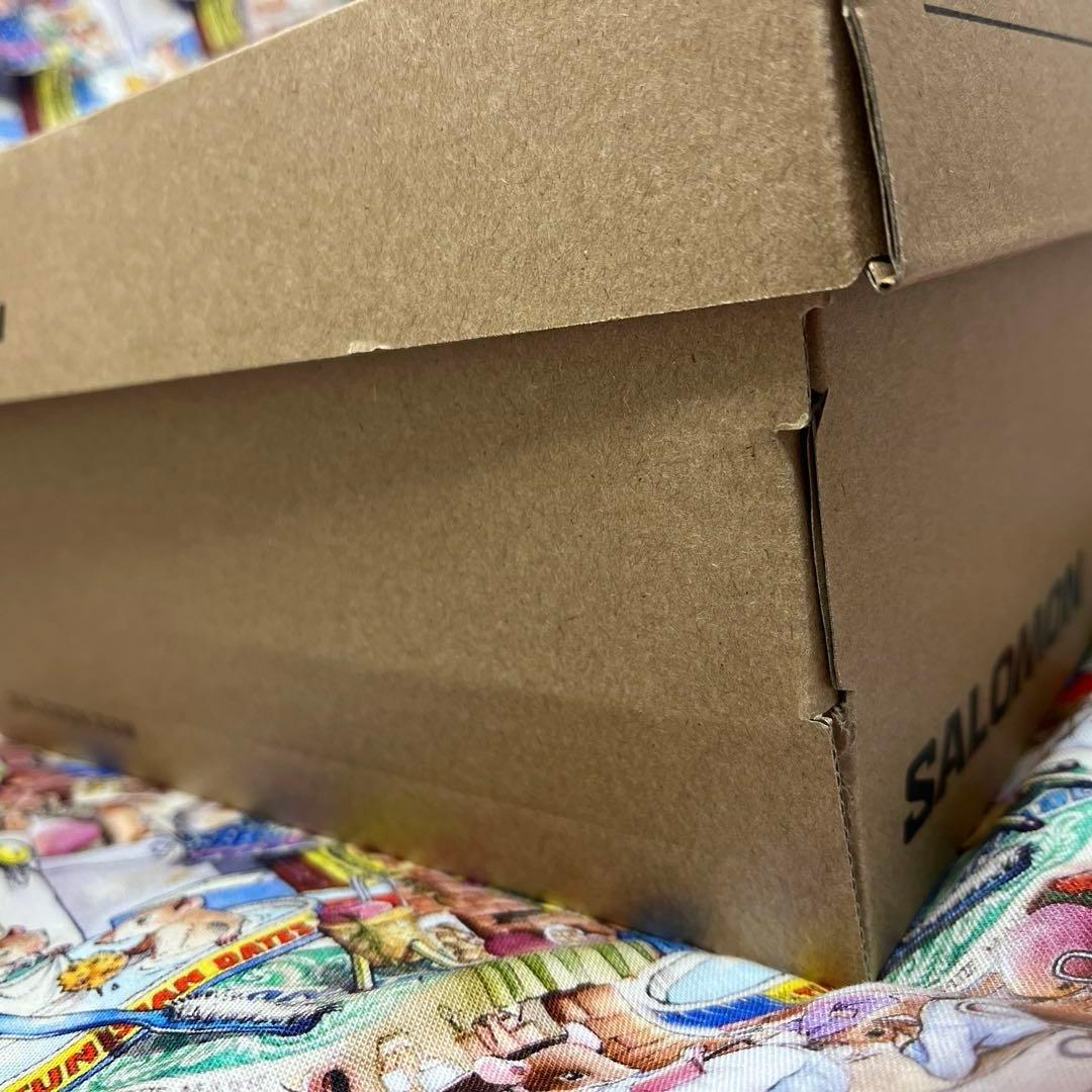 靴 bonkure- SALOMON XA PRO 3D GTX 24.5