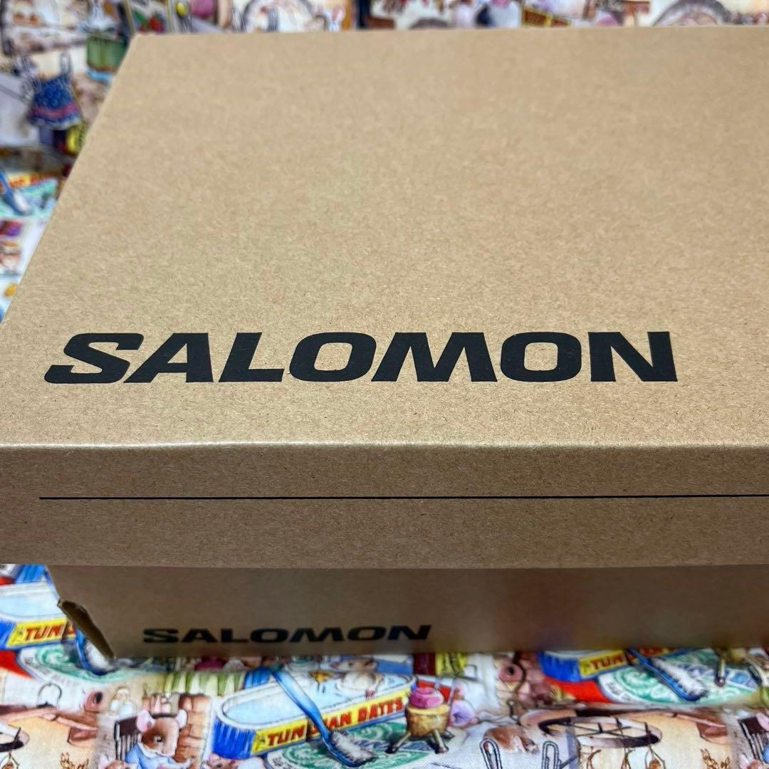 靴 bonkure- SALOMON XA PRO 3D GTX 24.5