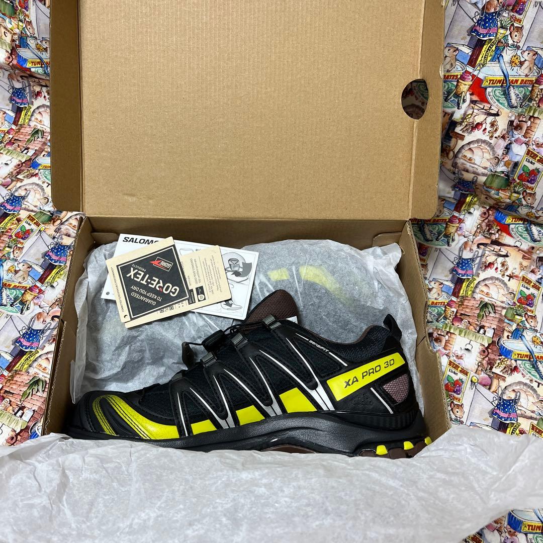 靴 bonkure- SALOMON XA PRO 3D GTX 24.5