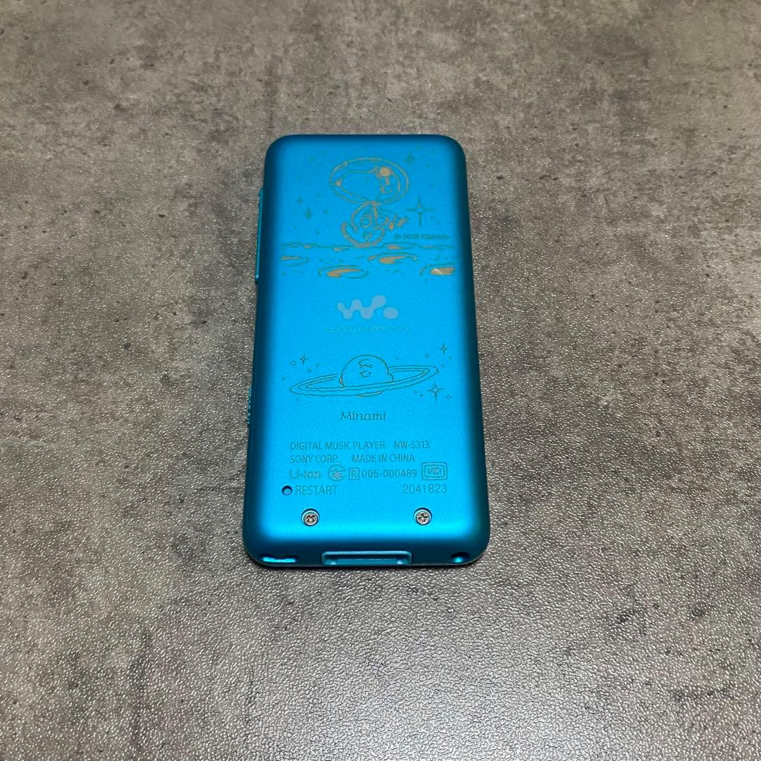 SONY ウォークマン NW-S310シリーズ