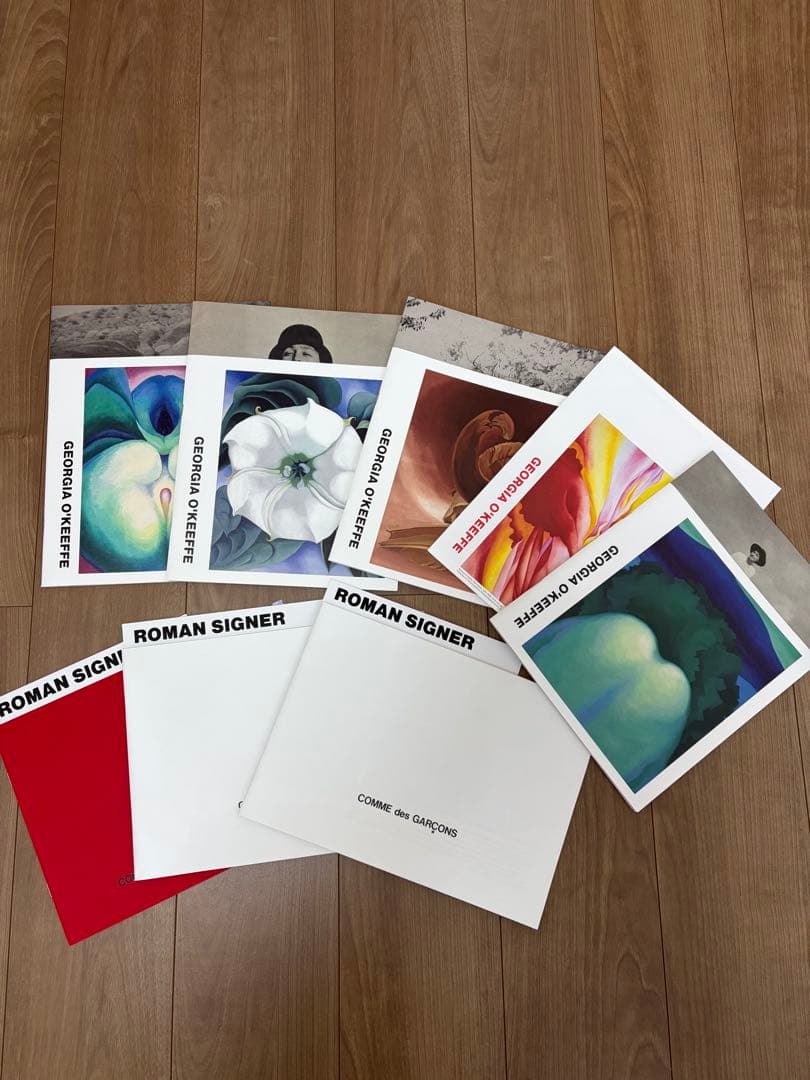 コムデギャルソン　ロマンシグナー　ジョージアオキーフ