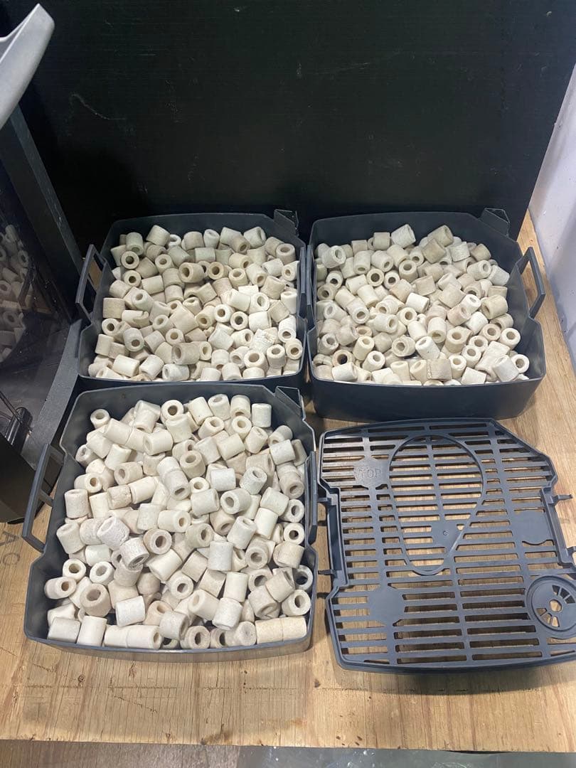 エーハイム プロフェッショナル 4 2273 50Hz リング濾材付き