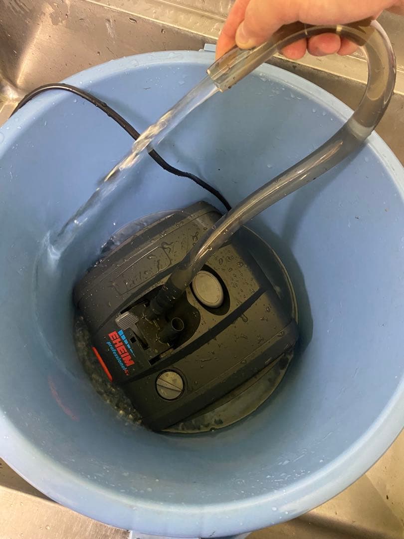 エーハイム プロフェッショナル 4 2273 50Hz リング濾材付き