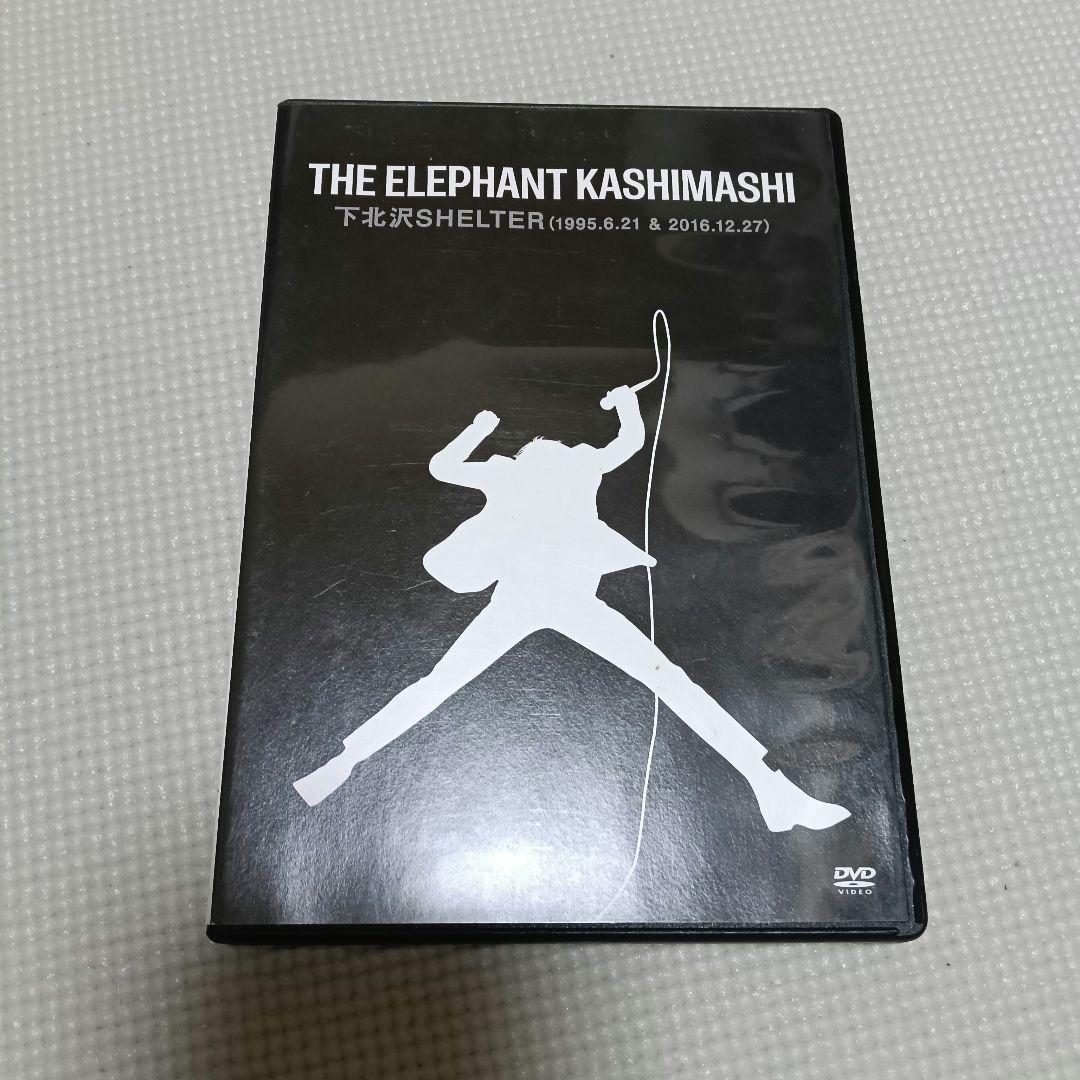 【最終値下げ】エレファントカシマシ 下北沢SHELTER DVD 2枚組