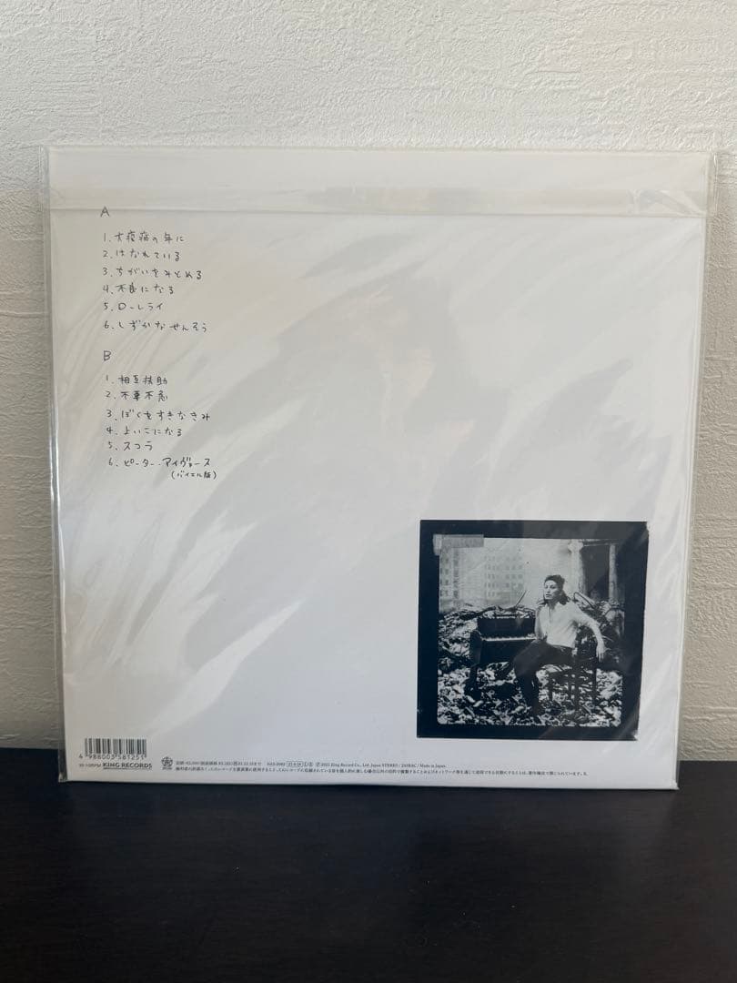 ドレスコーズ　バイエル　レコード　LP 志磨遼平　毛皮のマリーズ