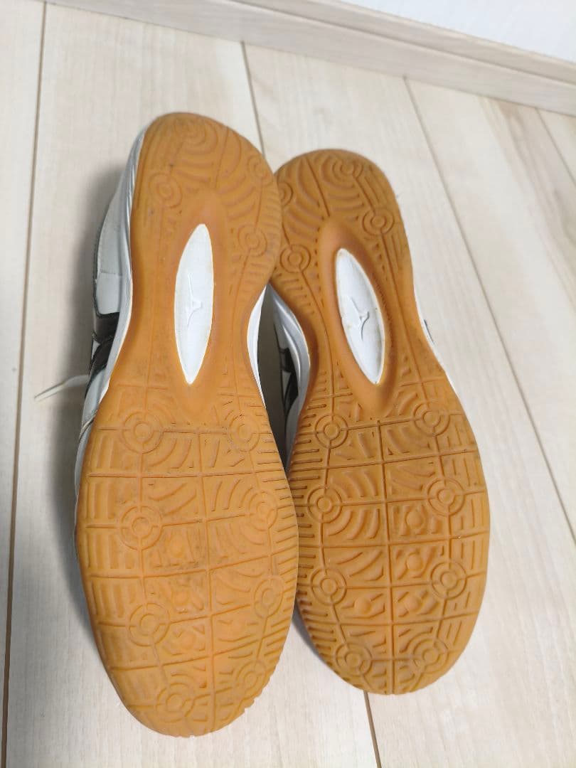 モレリアIN　/　Morelia IN 25.5