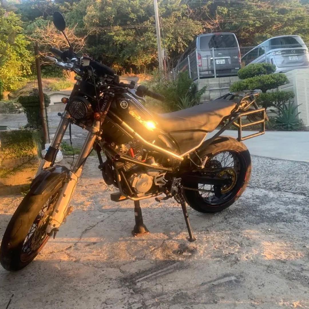 トリッカー　エンジンガード　スタントケージ