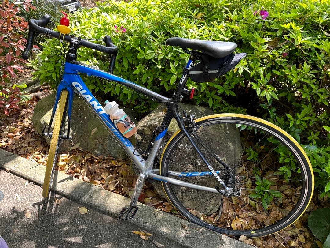 GIANTロードバイク  エンデュランスモデル 一部カーボン