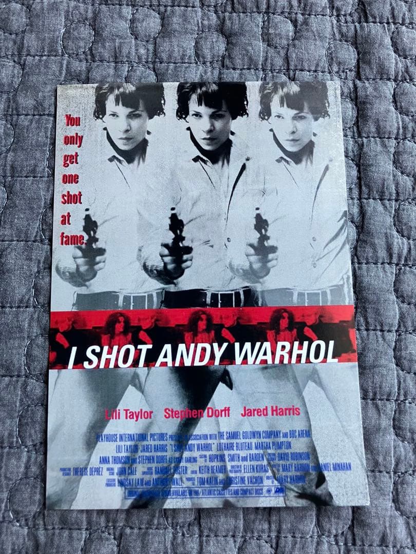 I SHOT ANDY WARHOL / アンディ・ウォーホルを撃った女　DVD