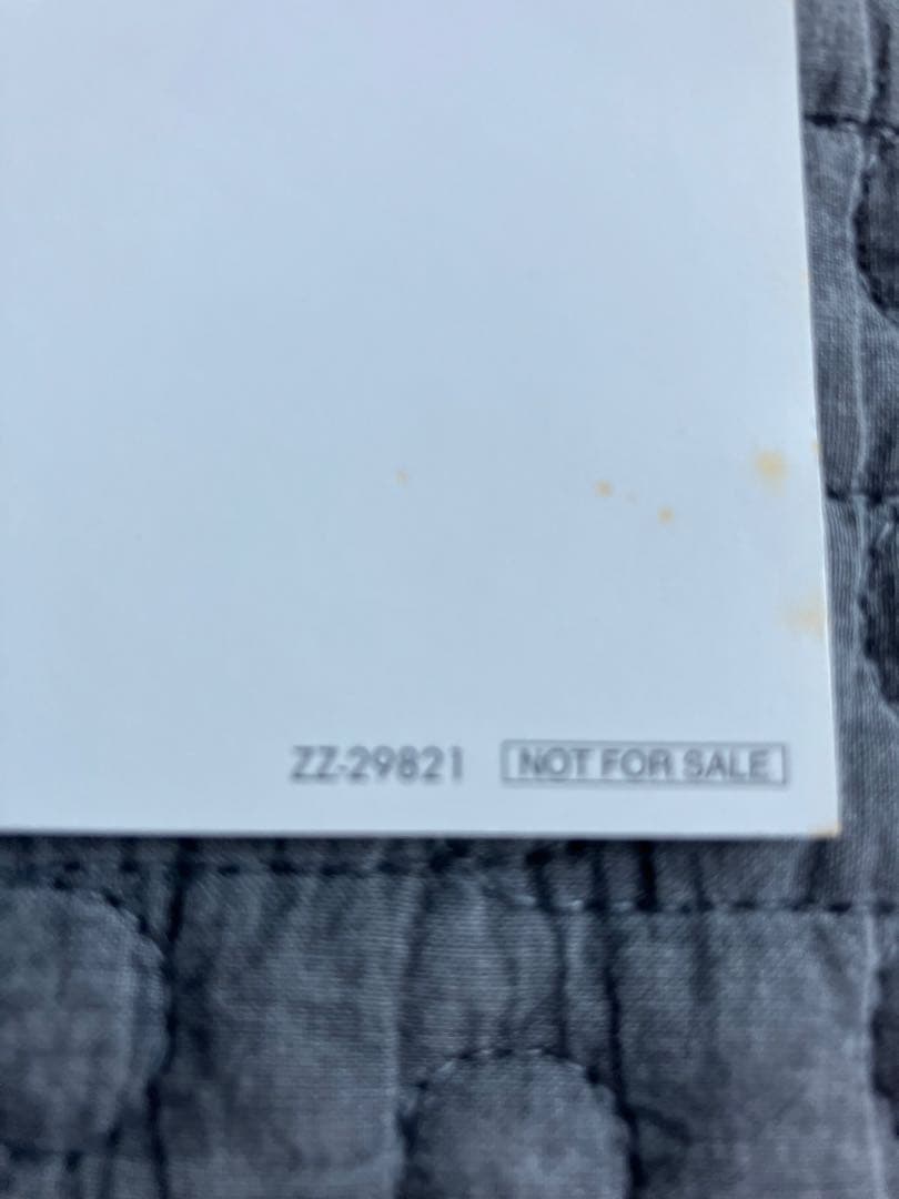 I SHOT ANDY WARHOL / アンディ・ウォーホルを撃った女　DVD