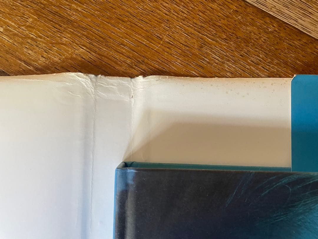 Patrick Demarchelier 作品集