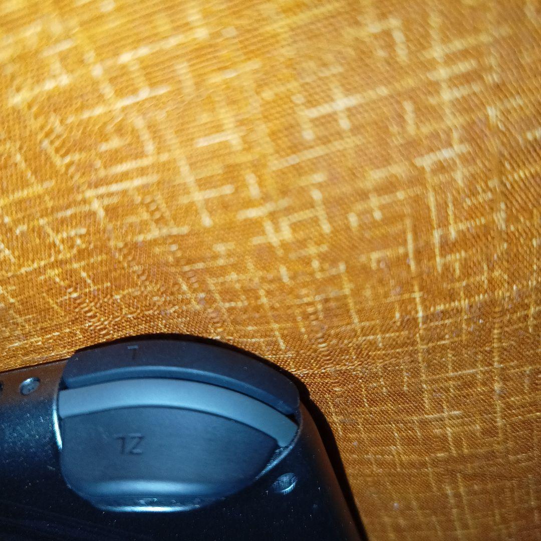 Nintendo Switch Lite ディアルガ パルキア特別仕様モデル