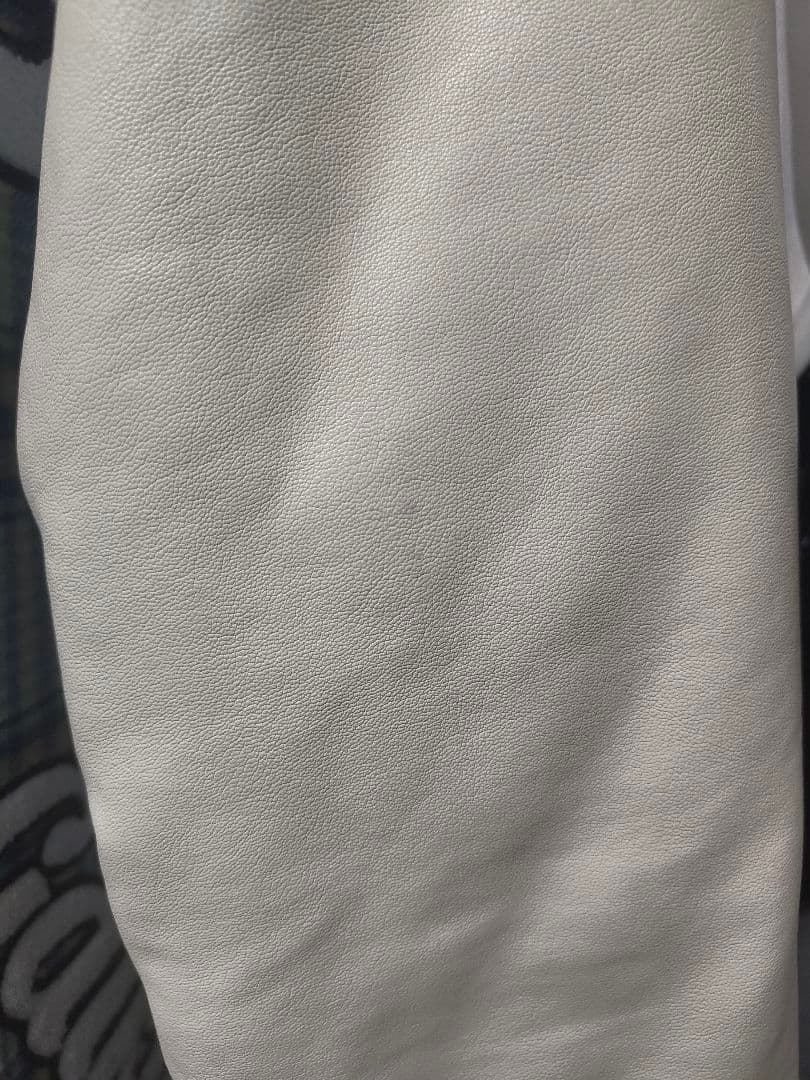 【GALFY/ガルフィー】わんわん大学ジャケット グリーン 大型犬 XL