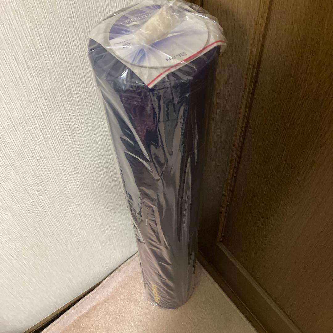 新品 ストレッチポールEX ネイビー 正規品