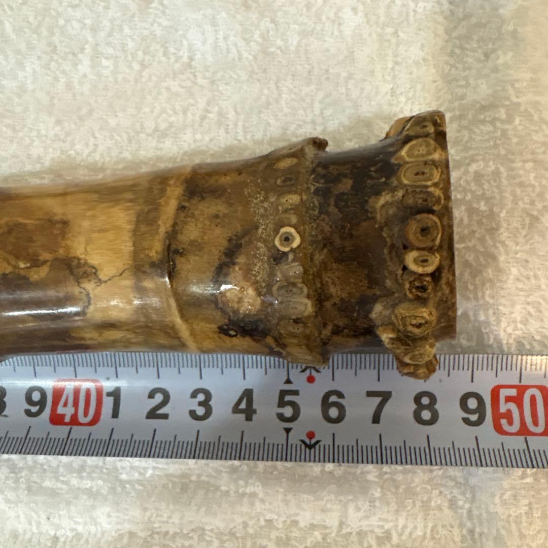 尺八　竹治刻印2箇所　銀三線　竹製　琴古流　約48、5㎝