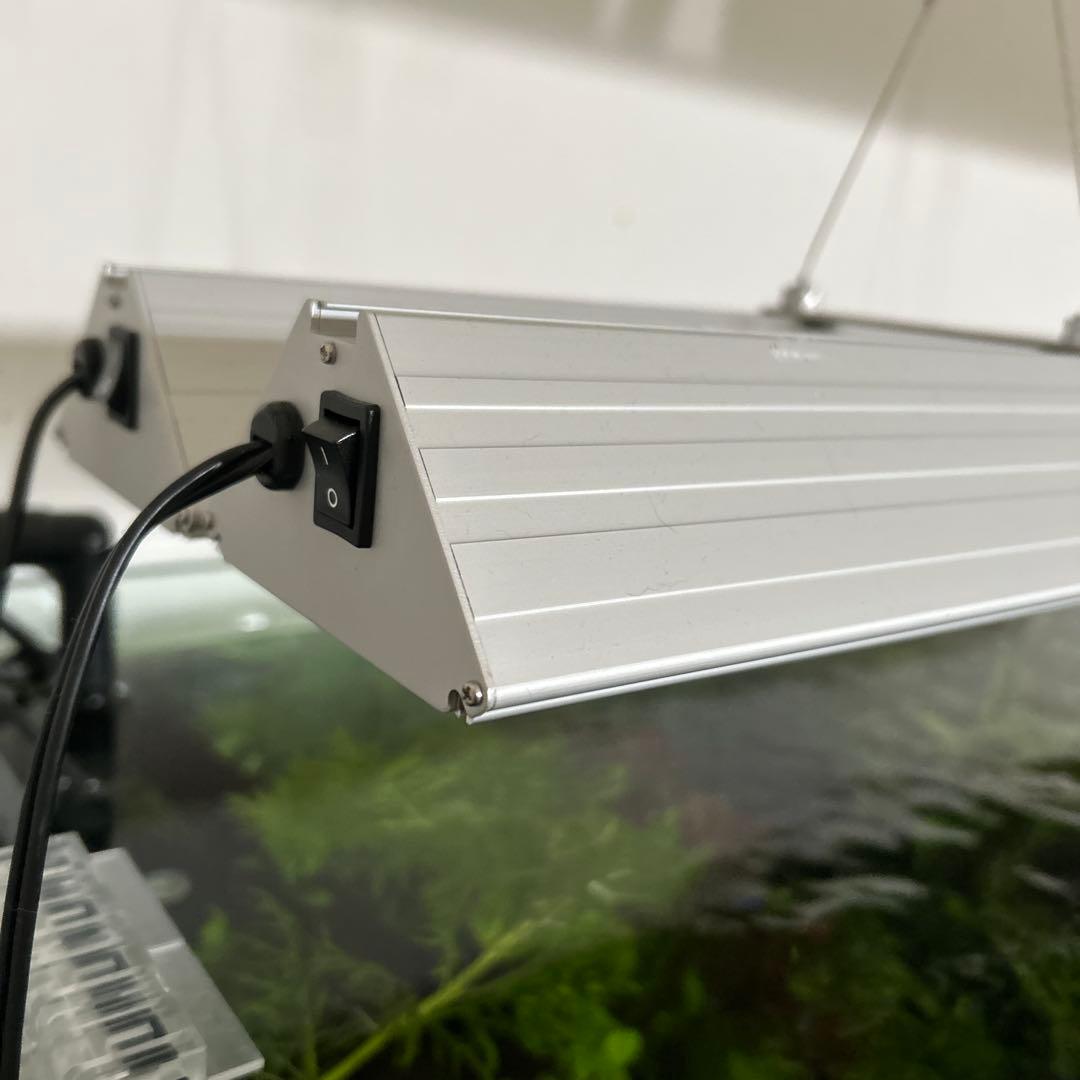 アクロtriangle bright 900 2025/01製