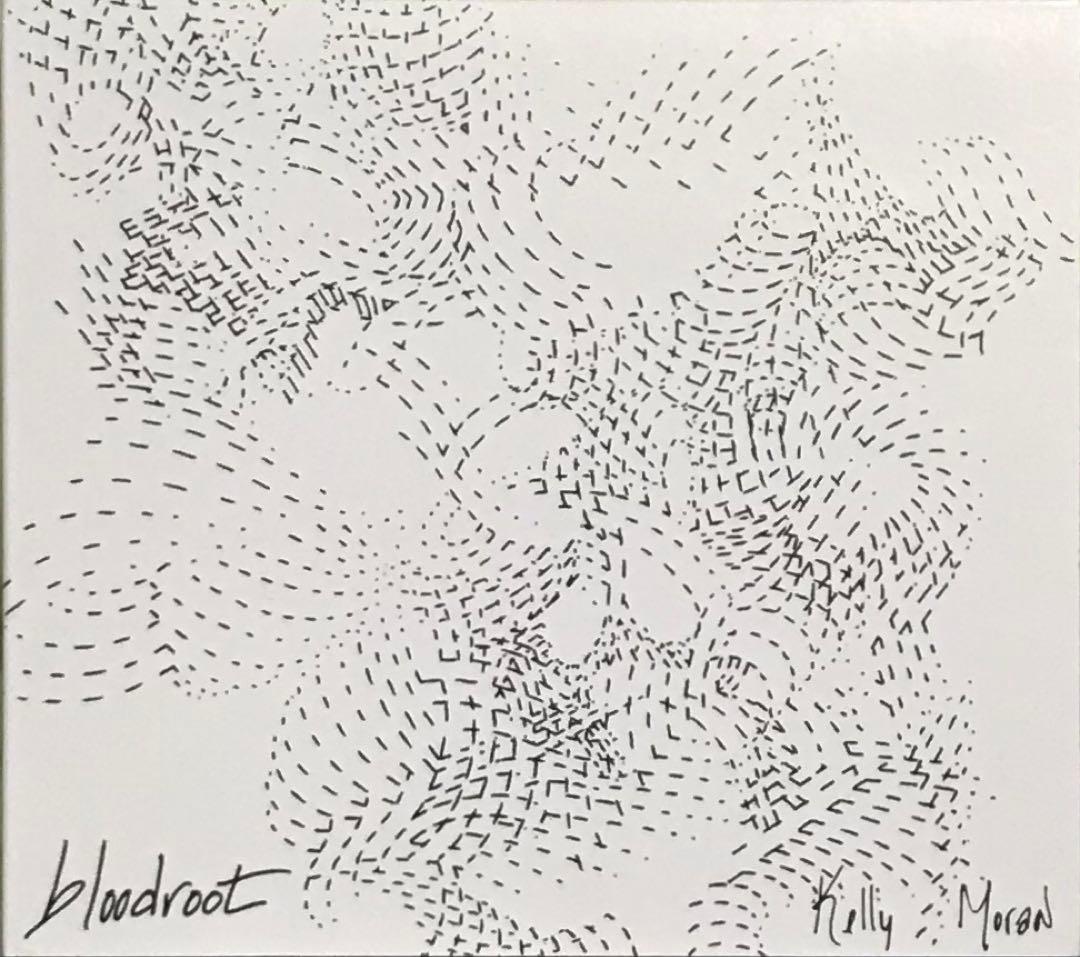 洋楽 Kelly Moran Bloodroot Telegraph Harp CD