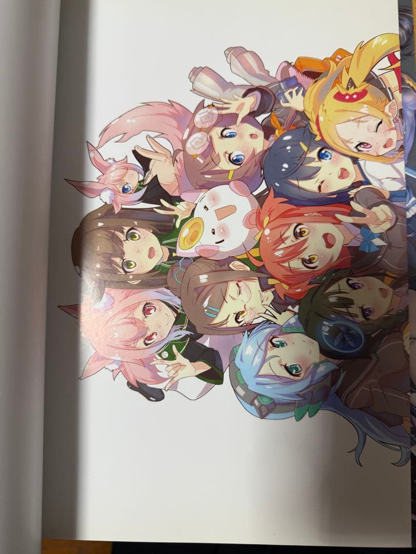 アンジュヴィエルジュ マテリアルアーカイブ、公式ビジュアルブック　二冊セット