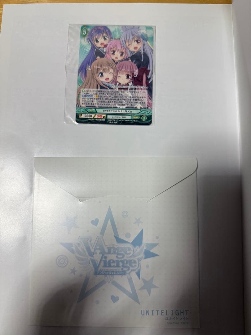 アンジュヴィエルジュ マテリアルアーカイブ、公式ビジュアルブック　二冊セット