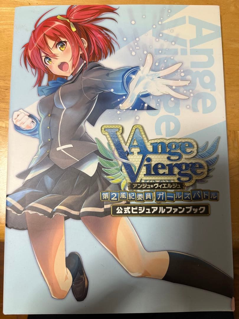 アンジュヴィエルジュ マテリアルアーカイブ、公式ビジュアルブック　二冊セット