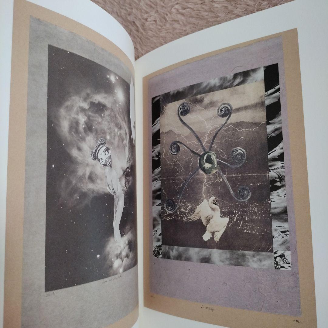 ナディーヌ・リボー　コラージュ作品集　山下陽子　岡上淑子　2010 - 2014