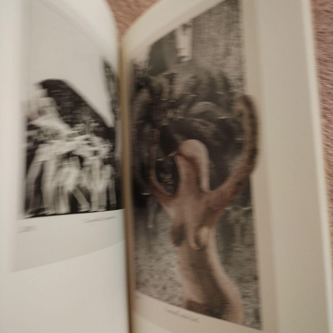 ナディーヌ・リボー　コラージュ作品集　山下陽子　岡上淑子　2010 - 2014