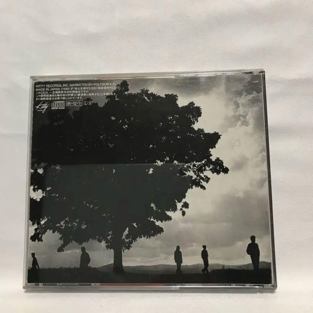 【未開封・見本盤・サンプル盤あり】玉置浩二　安全地帯　CD 8cmCD セット