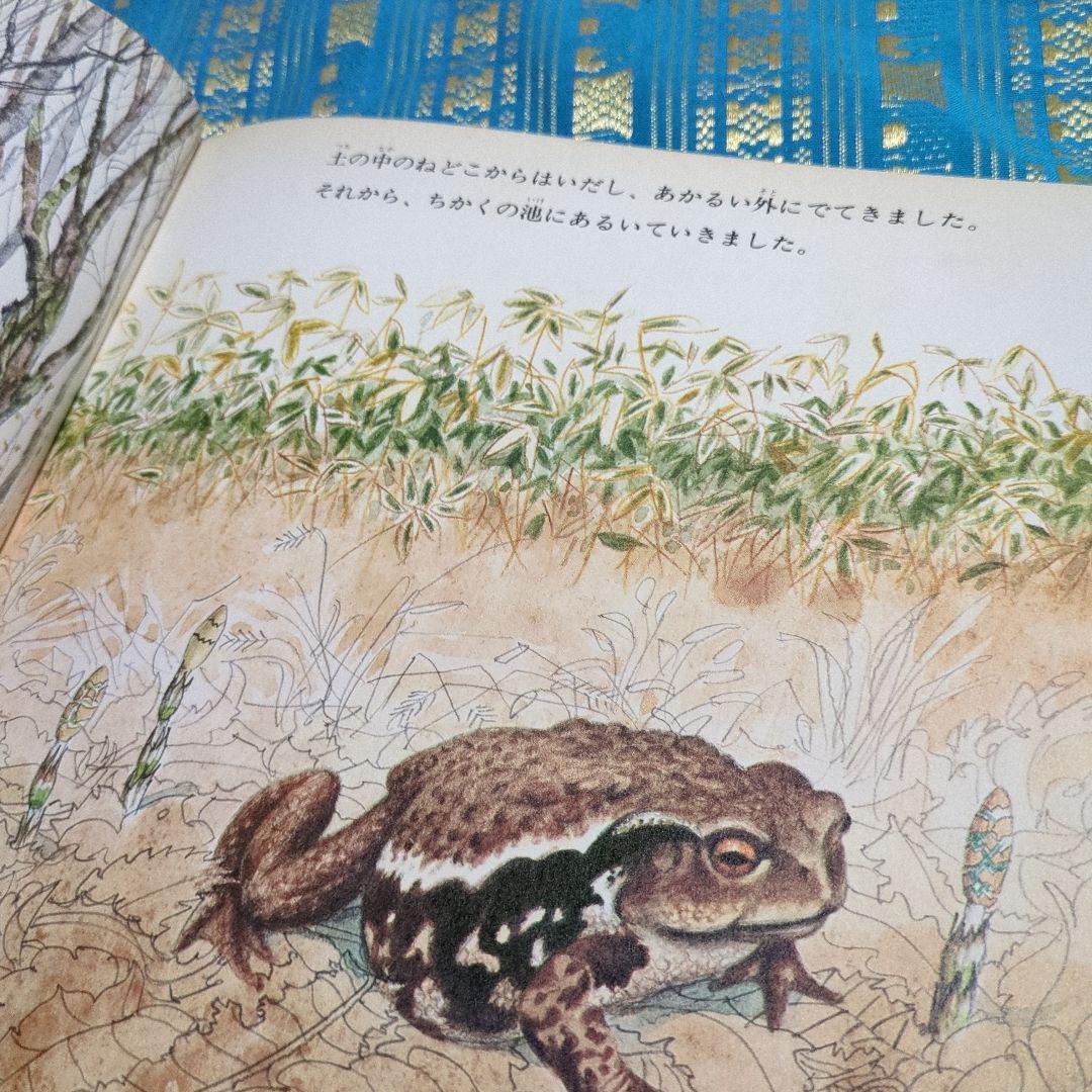 初版　絶版　ひきがえる 絵本 福音館書店 1976年