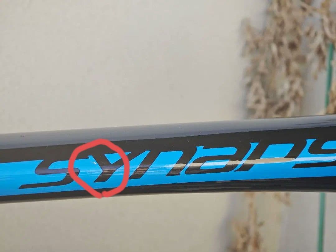 CANNONDALE SYNAPSE HI-MOD アルテグラ11S　51