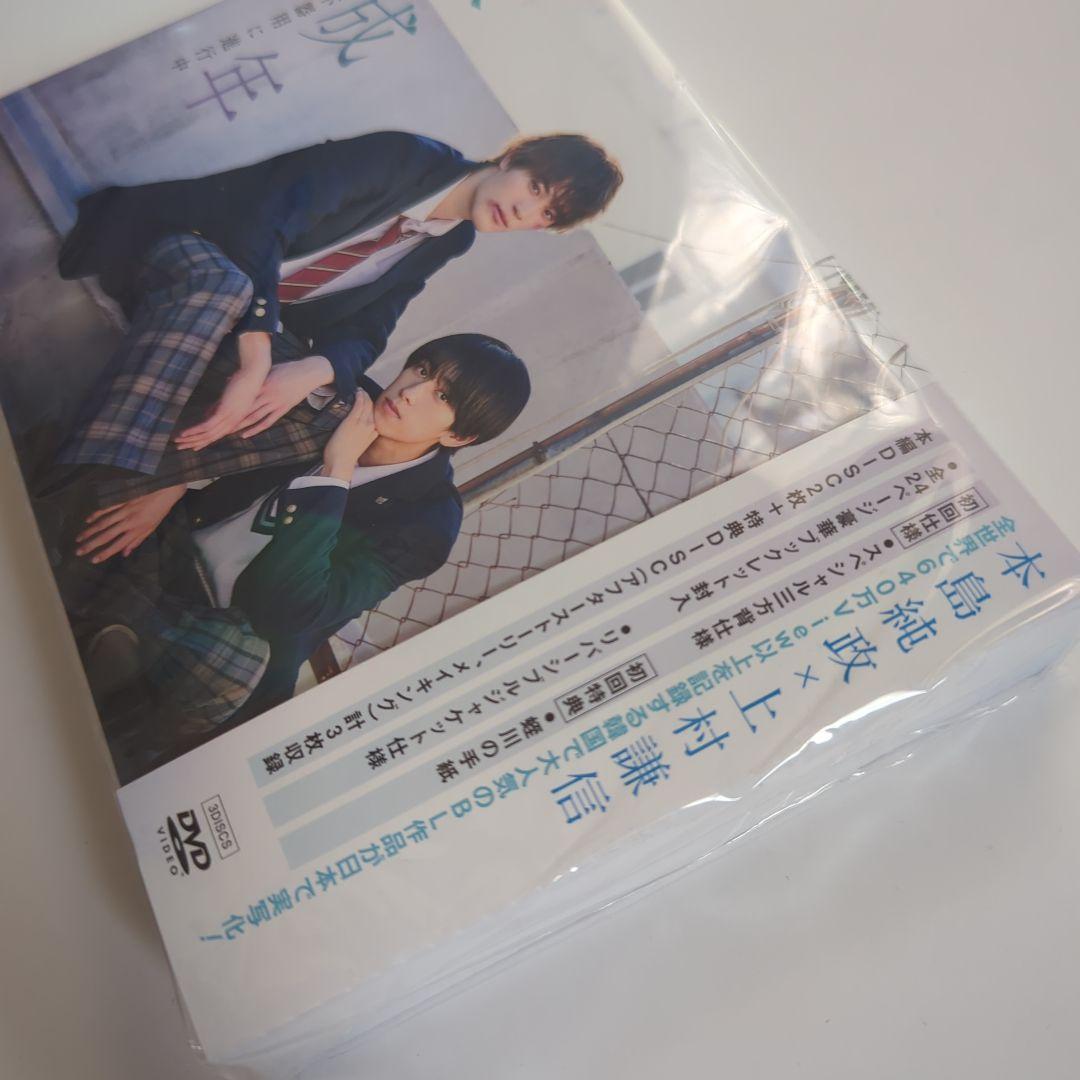 未成年　未熟な俺たちは不器用に進行中　DVD