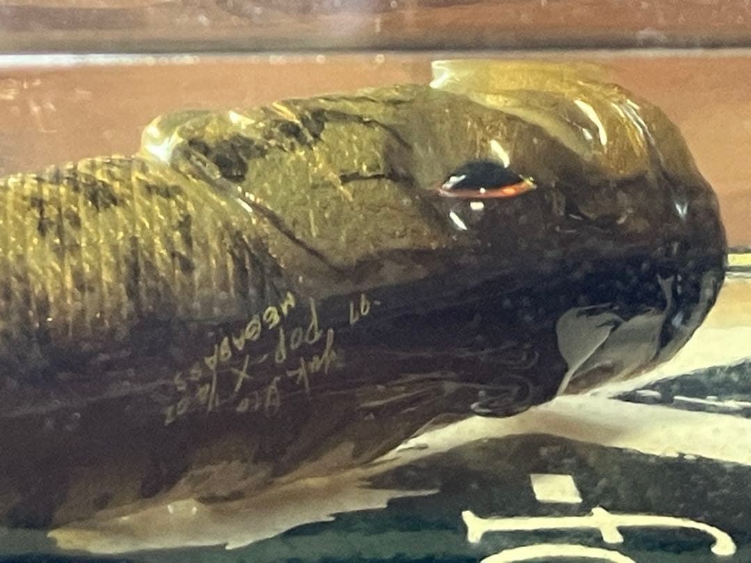 SGスモールマウスバスPOP-Xセット