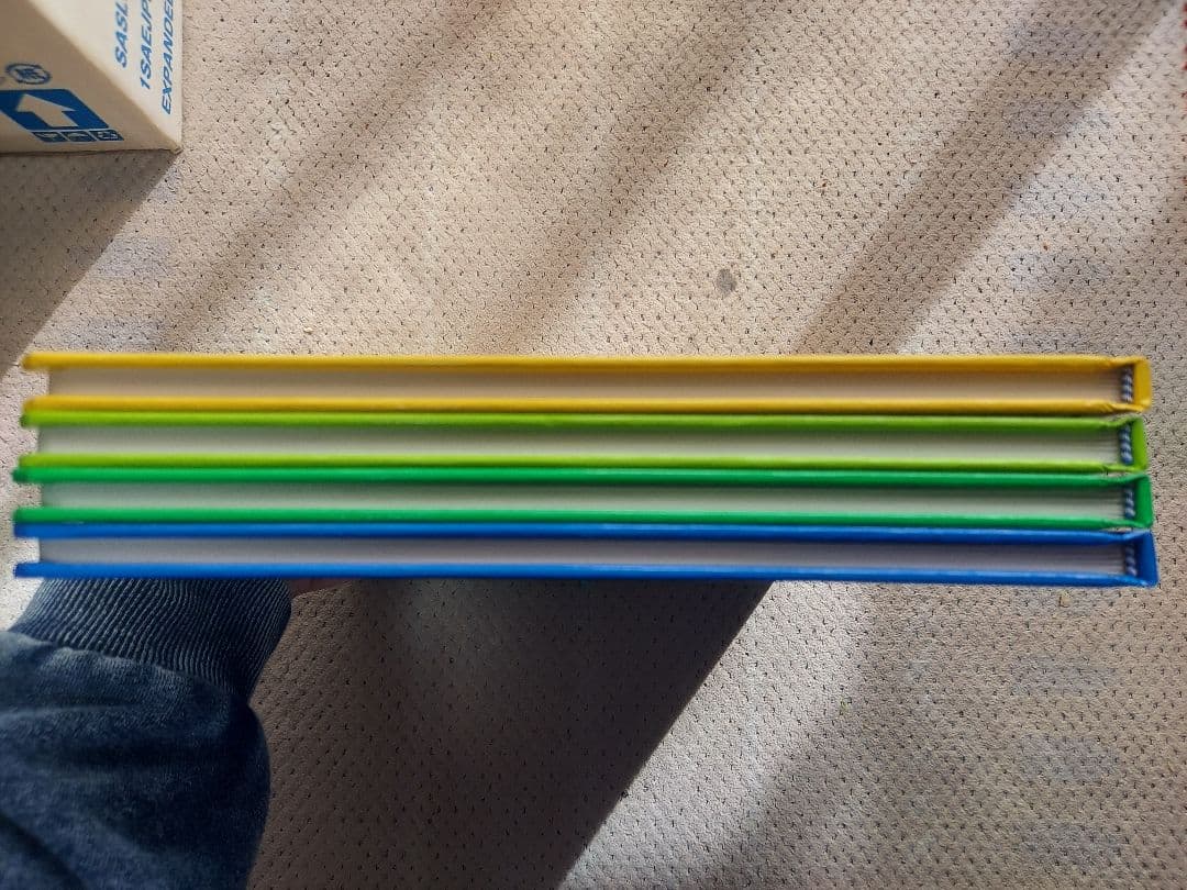 DWE シングアロング　ディズニー英語システム