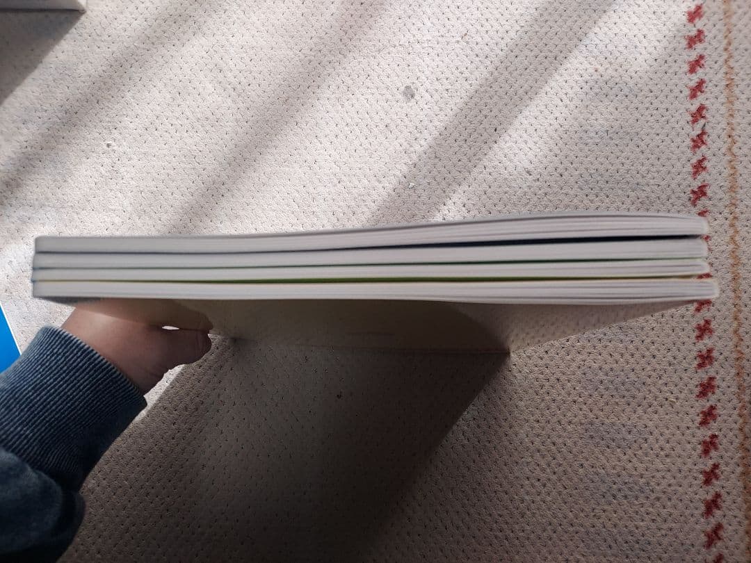 DWE シングアロング　ディズニー英語システム