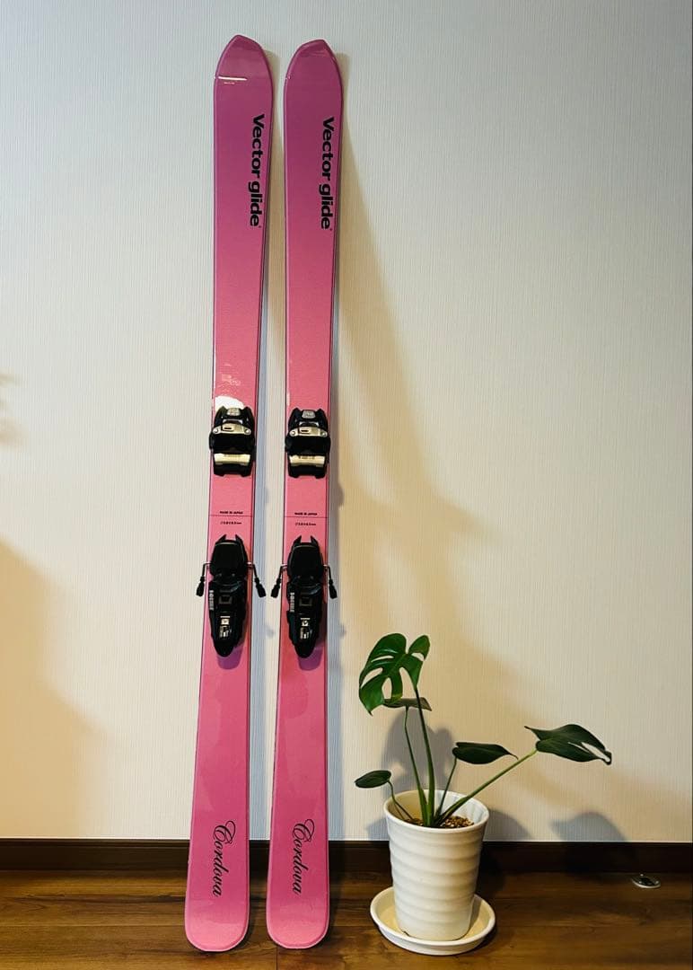 ベクターグライドコルドバ