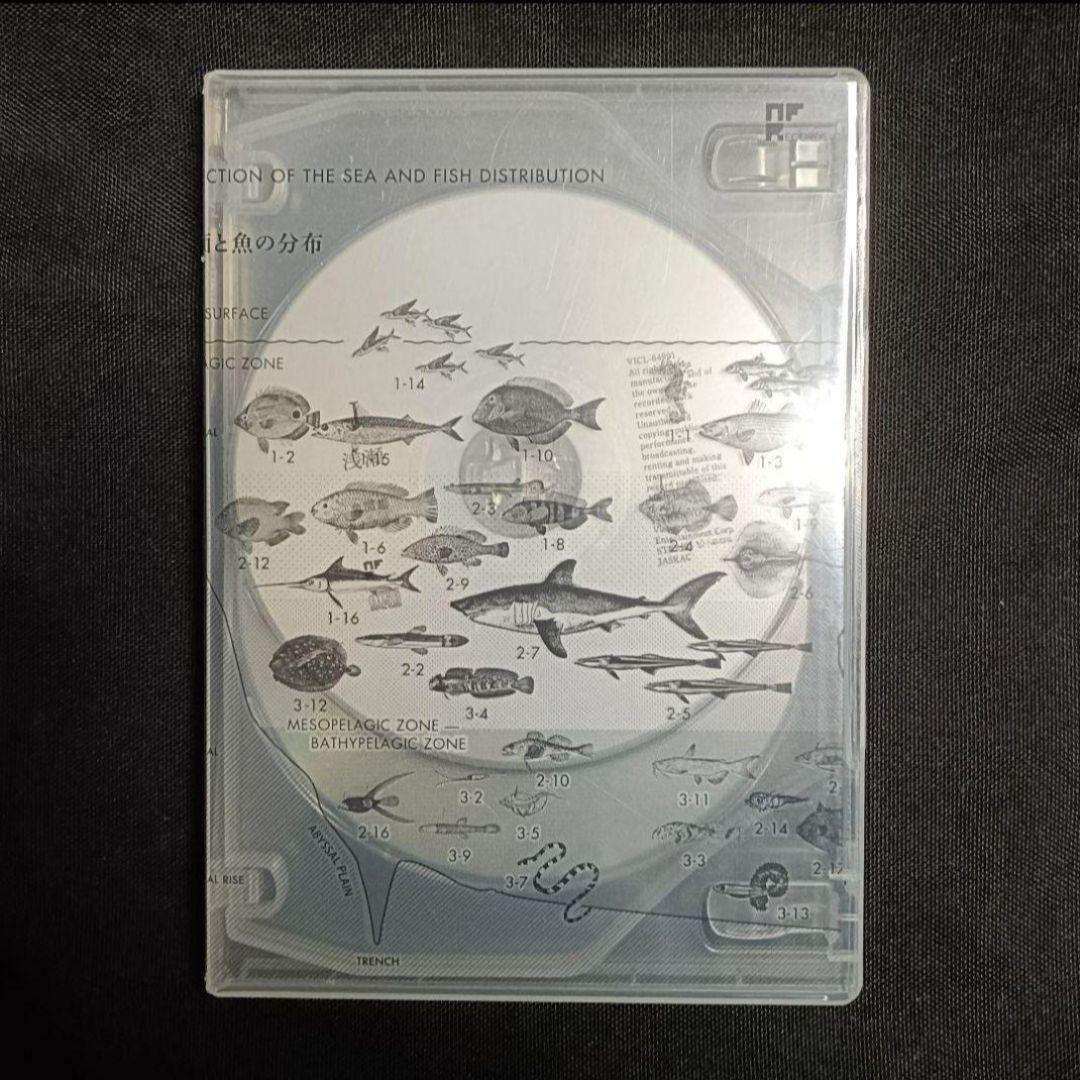 廃盤 良品 サカナクション「魚図鑑」プレミアムBOX 3CD+魚大図鑑+箱 怪獣