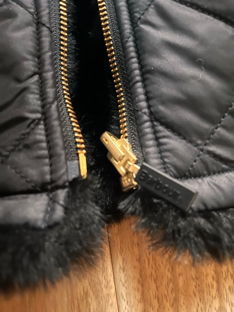 柴犬　バブアー　ビームス