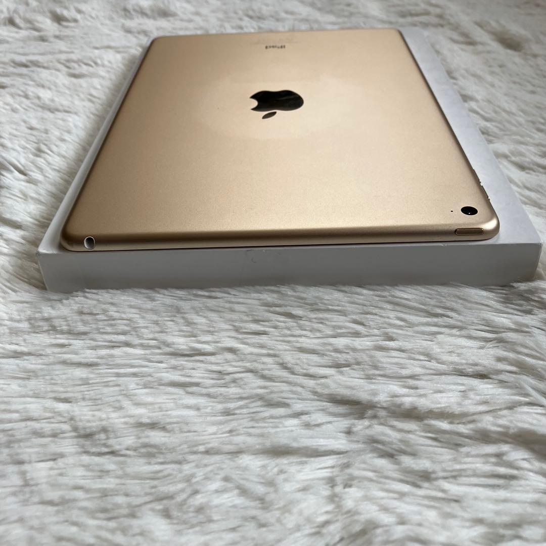 【早い者勝ち】iPad Air2 128GB 【すぐ発送】【付属品】