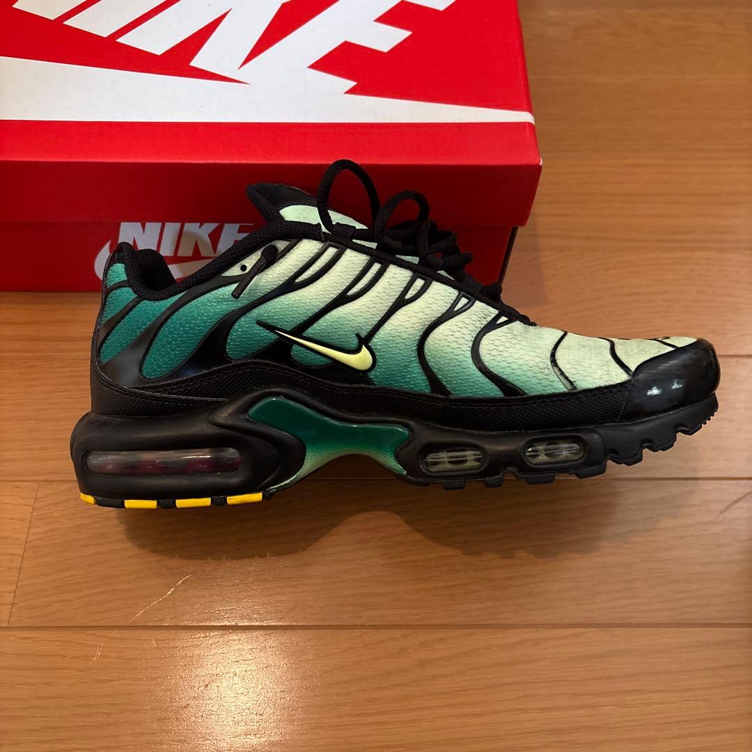 靴 nike air max plus vapor green