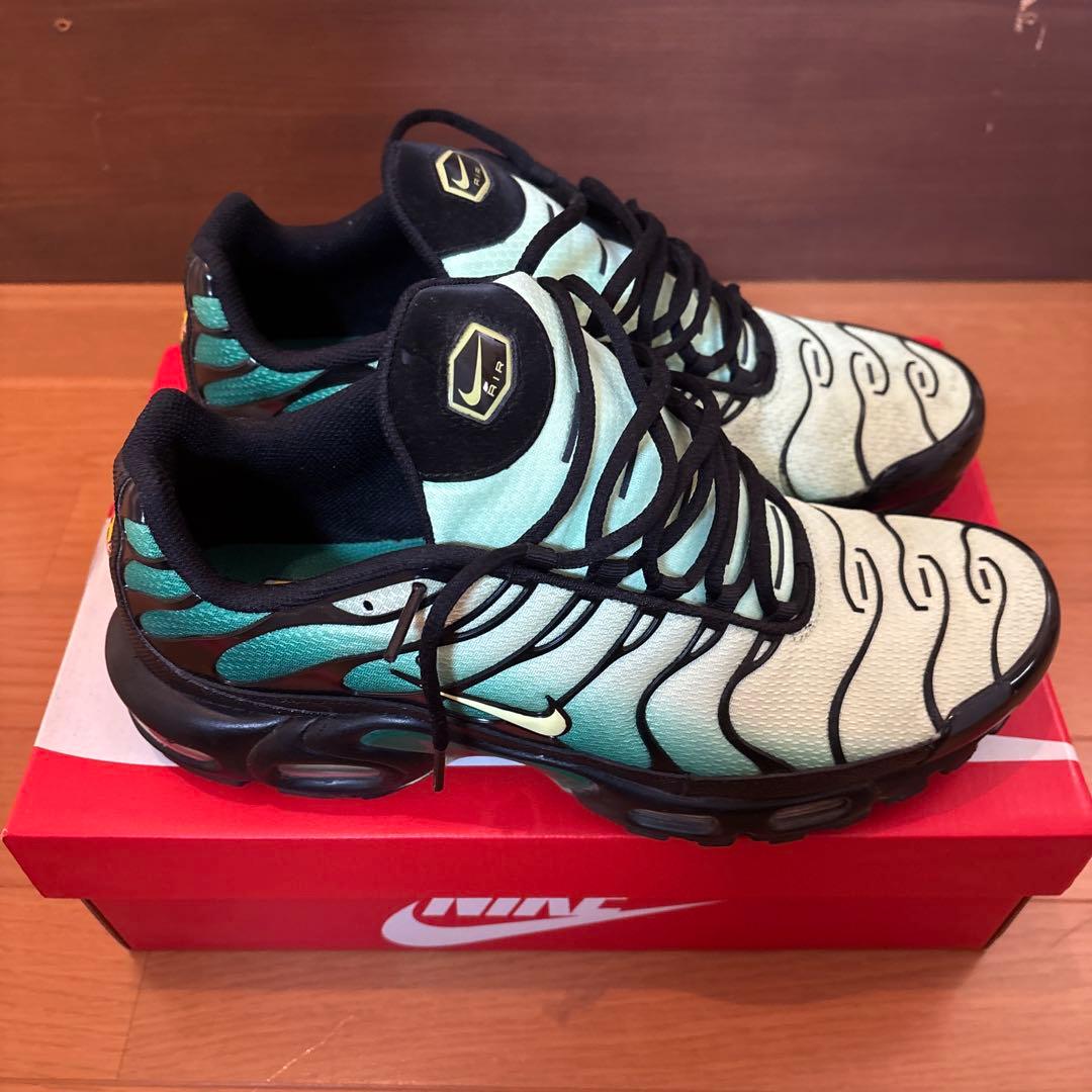 靴 nike air max plus vapor green