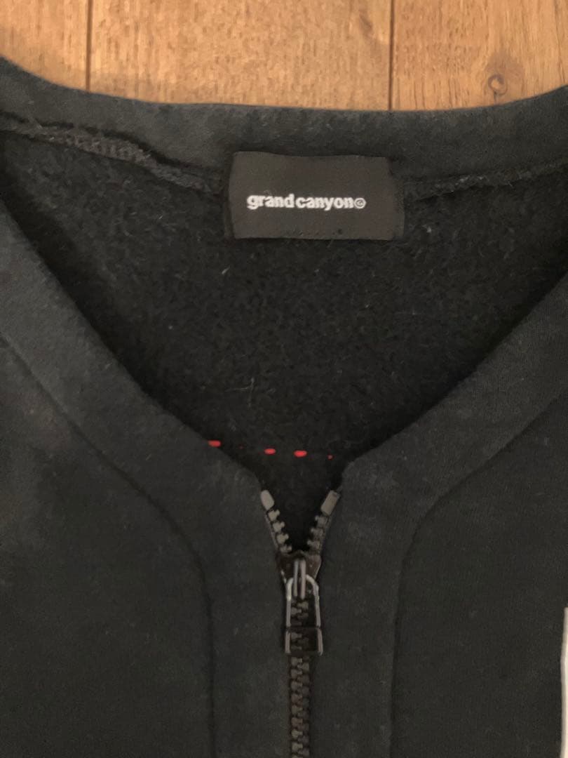 GDC ジャケット　90s00s グランドキャニオン　スウェット