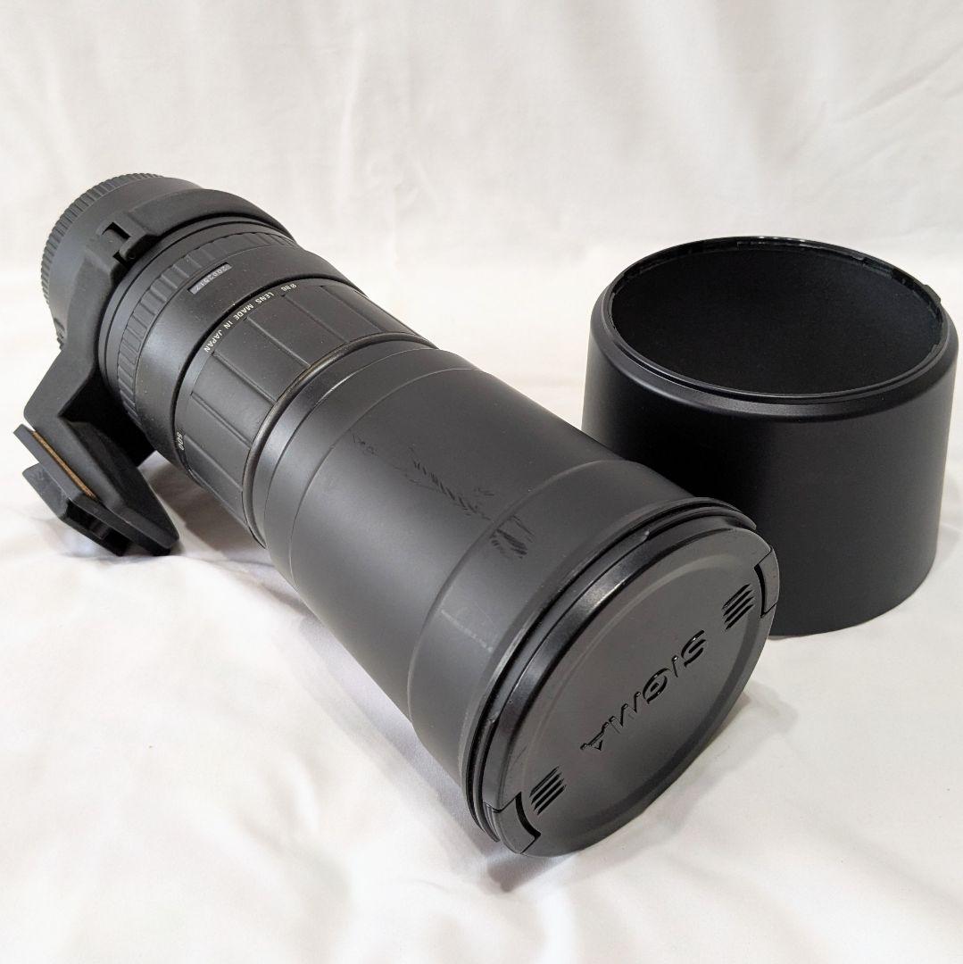 シ*ジ様 シグマ170-500mm F5-6.3 APO Canon EF 超望